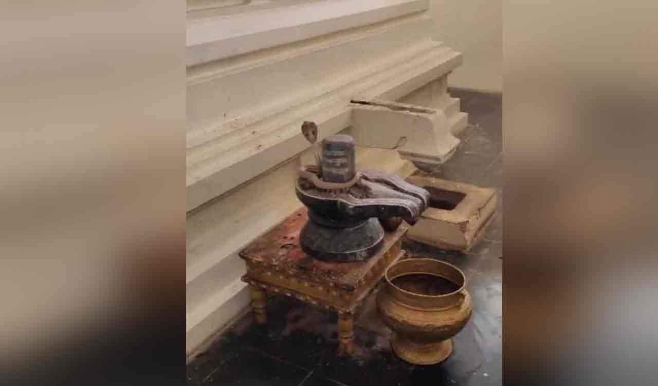 Cobra coils around Shiva Lingam in Ramalayam in Huzurabad