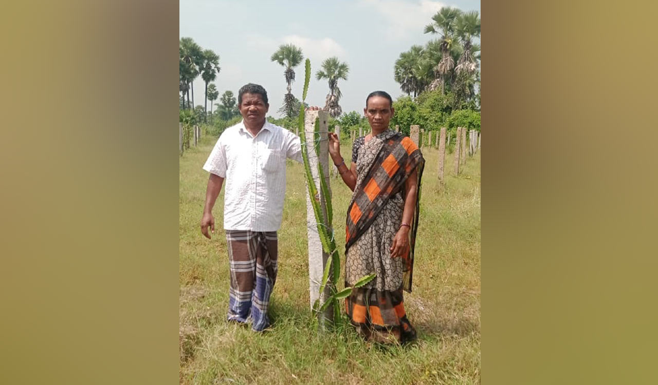 Rare honour: Tribal farmer-couple from Kothagudem invited to R-Day celebrations