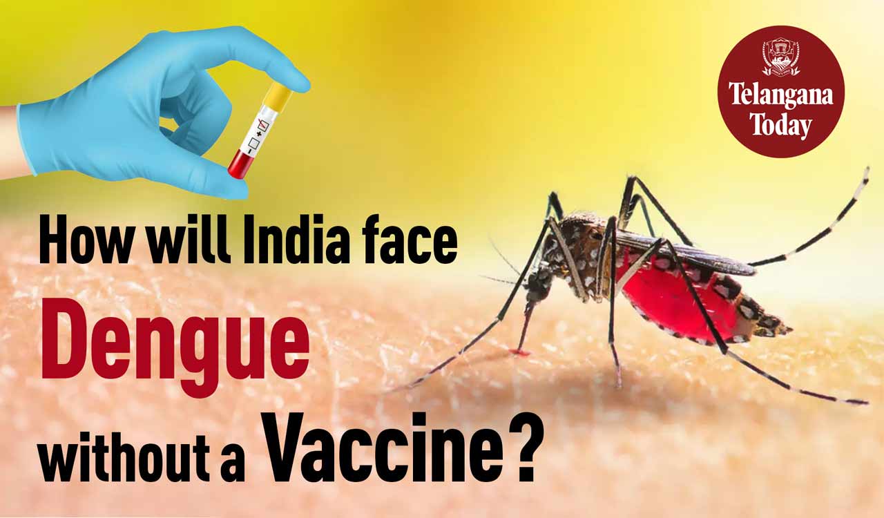 Dengue – Dengue Vaccine – Dengue Alliance | Dengue in India and South Asia | Dengue Treatment