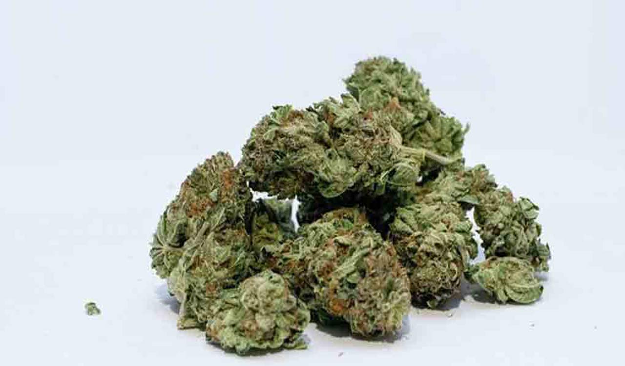 Woman caught with marijuana in Secunderabad