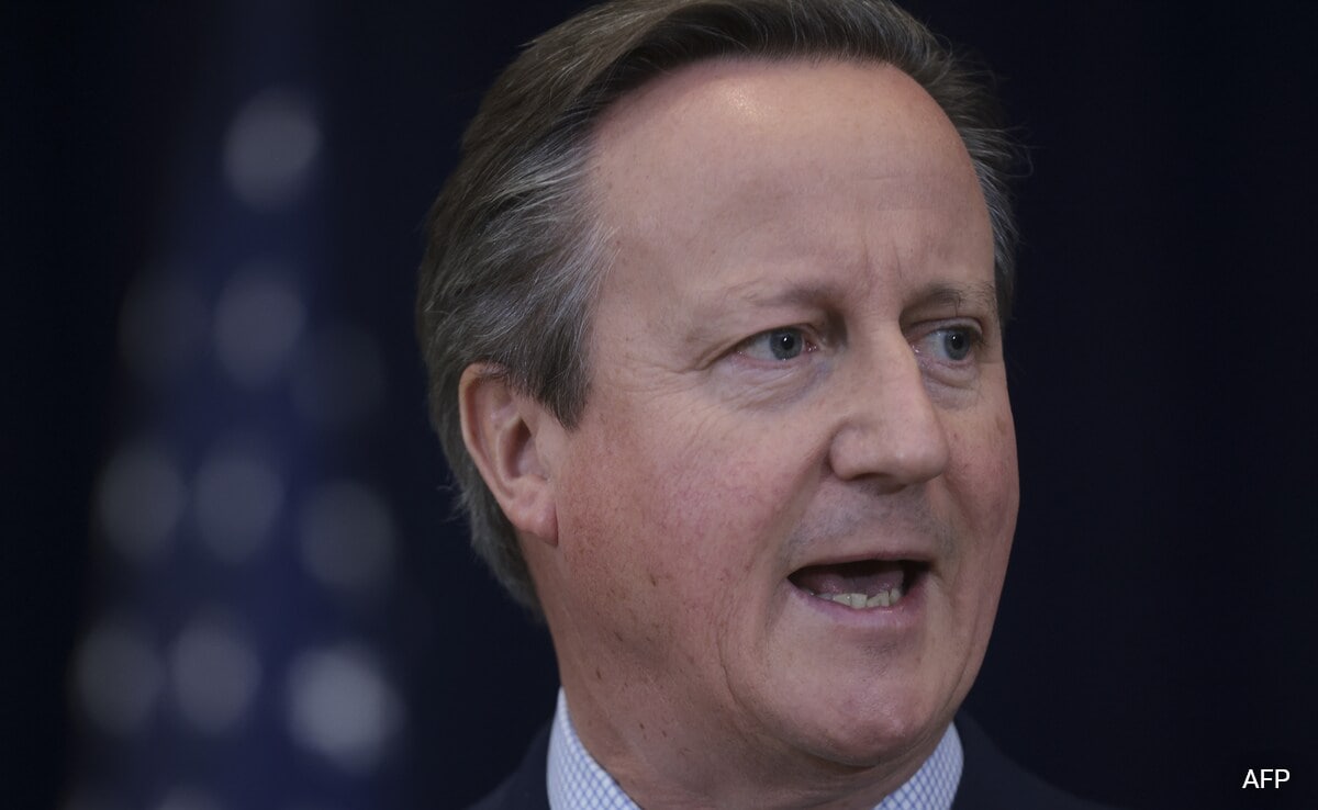 Will UK Send Troops To War-Hit Ukraine? What David Cameron Said