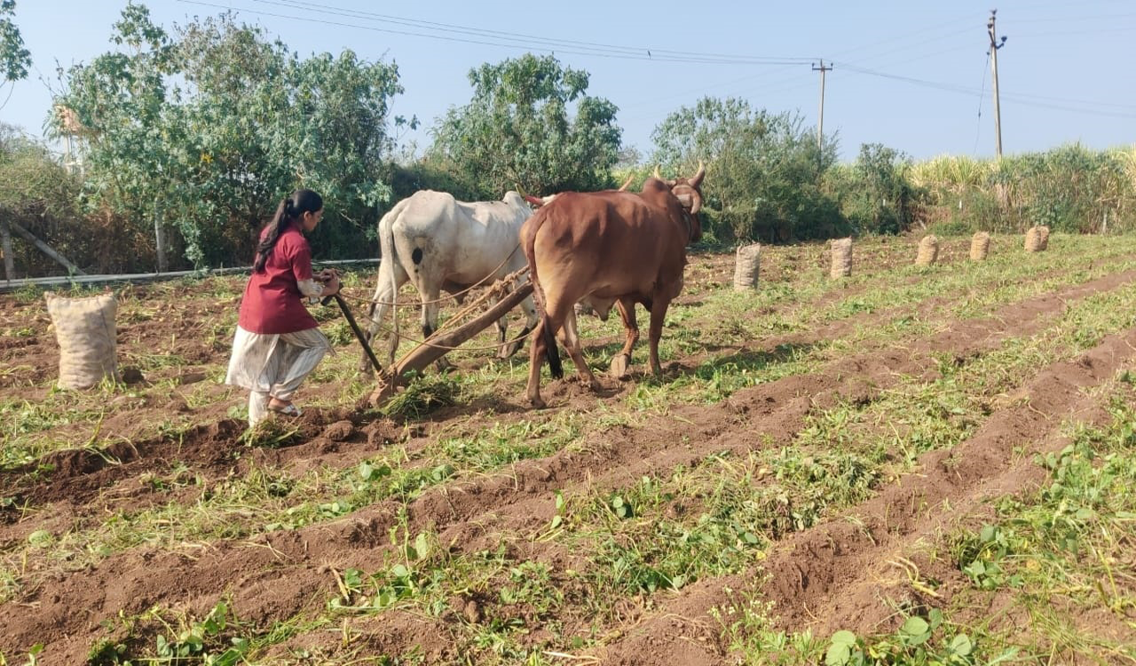 Horticulture students get first hand field experience