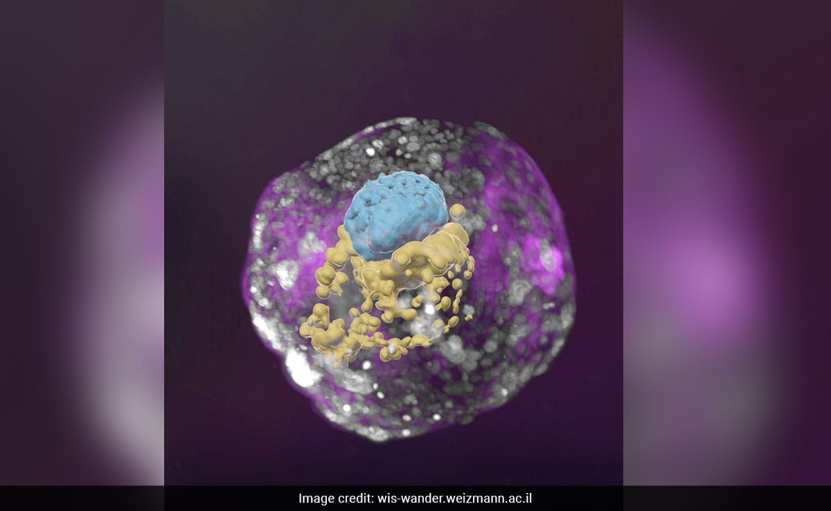 US Court Declares Frozen Embryos As "Children". What It Means