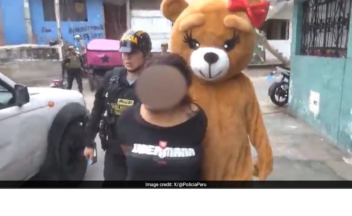 Cop Dressed As Teddy Bear Arrests Drug Dealer In Peru's Lima