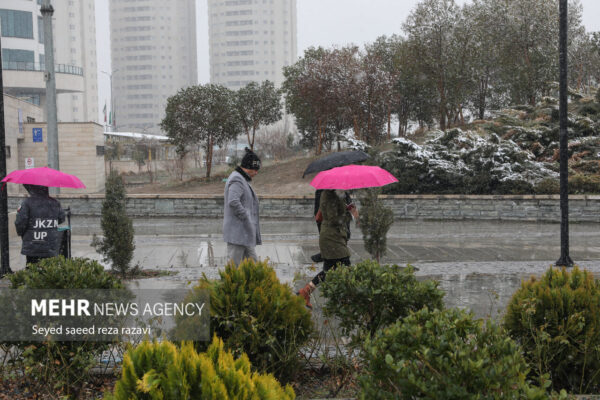 Snowy day in Tehran