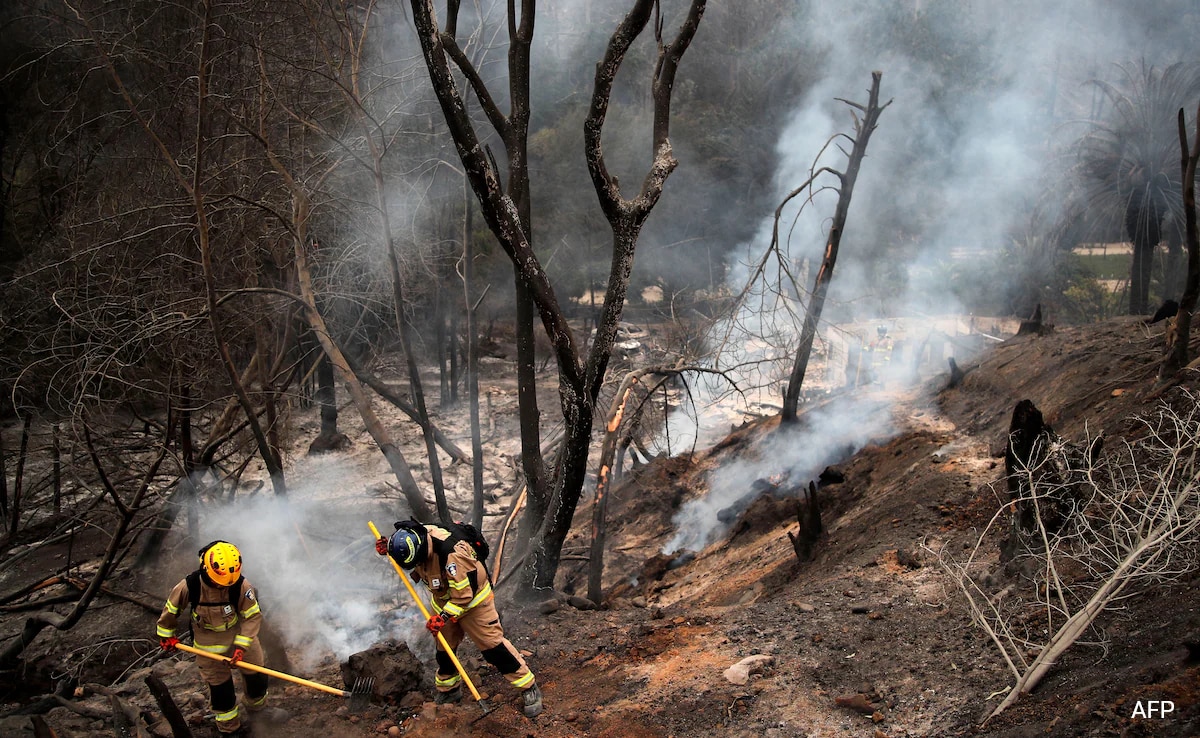 "It Was Raining Ash": Chile Wildfires Kill 99, President Declares Emergency