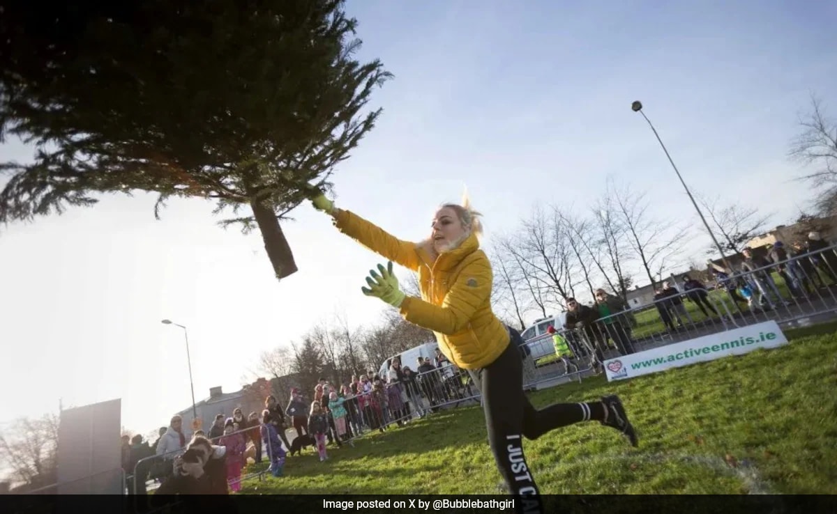 Irish Woman Loses $820,000 Injuries Claim After Being Seen Tossing Tree