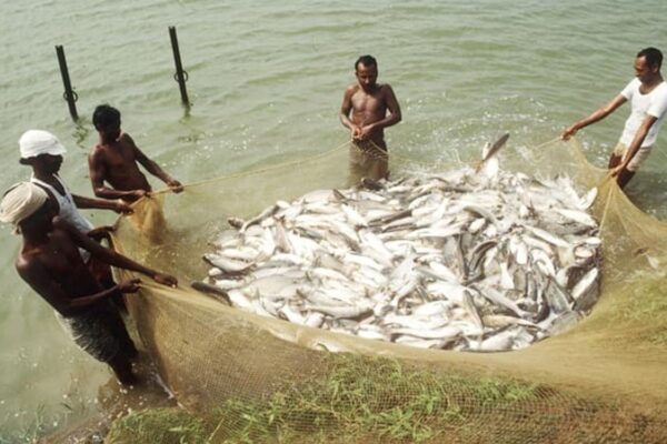 Govt ropes in ONDC to bring fishermen on e-market platform