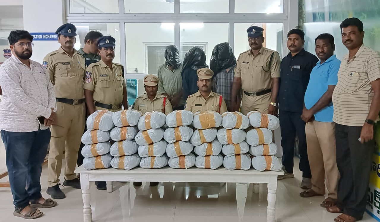 One quintal of ganja worth Rs 25 lakh seized in Kothagudem