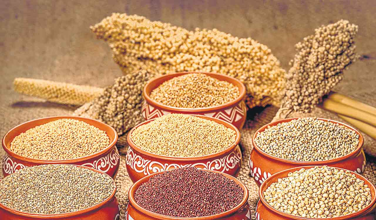 One-day workshop on Millets at UoH on Friday