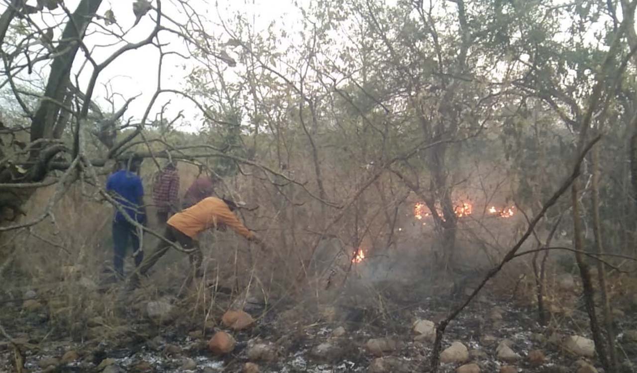 Watch: Forest fires break out in Nallamalla in Telangana