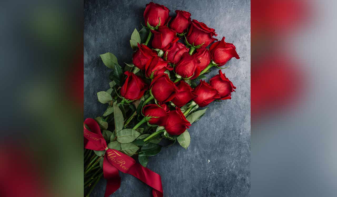 Red roses symbolise Valentine’s love, but vulnerable to climate change: Report