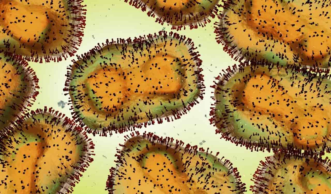 Study reveals Mpox virus brain cell invasion