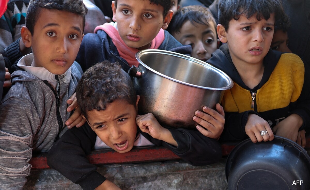 "Slaughtering Horses To Feed Children": Food Running Out At Gaza Camp