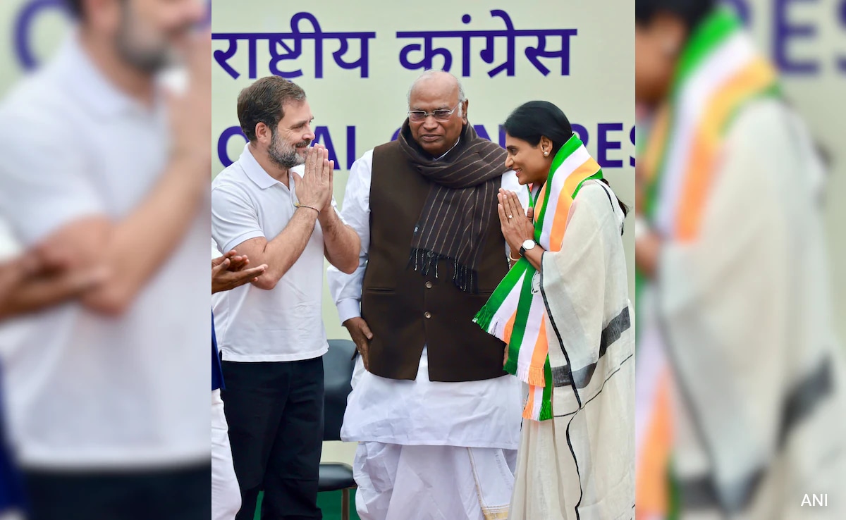 "Vile And Cowardly Act": Rahul Gandhi Condemns Threats To YS Sharmila