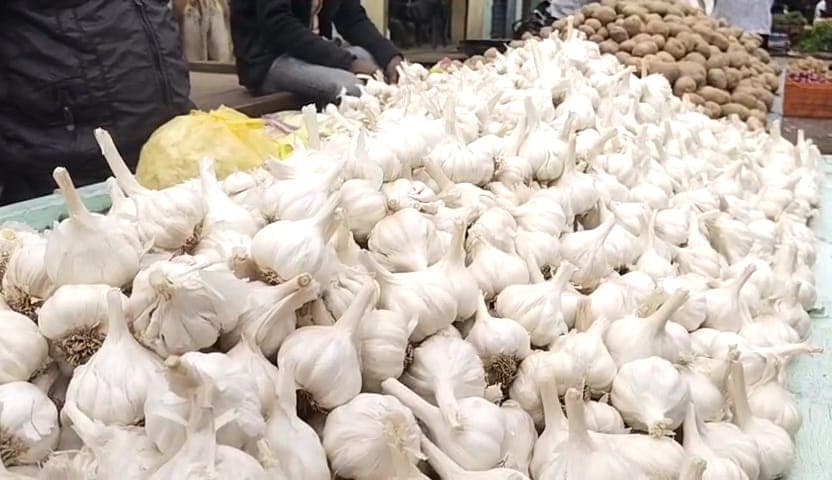 How Madhya Pradesh Farmers Are Safeguarding Garlic Amid High Prices