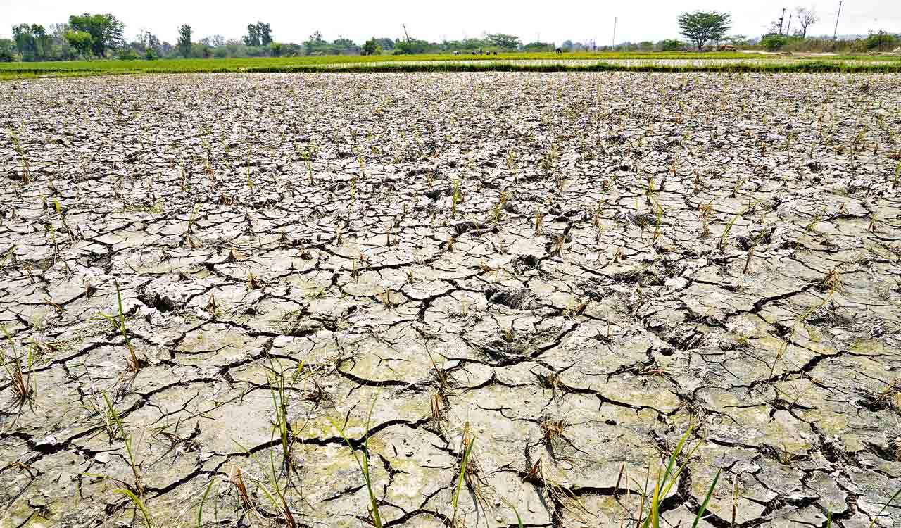 Erratic power cuts worry farmers in Telangana