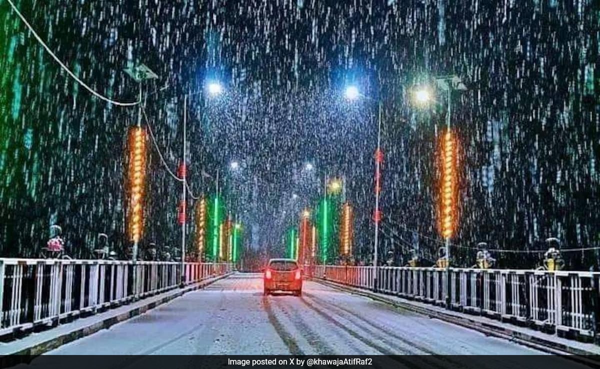 Much-Awaited Snowfall Brings Cheer, Turns Kashmir Into Winter Wonderland