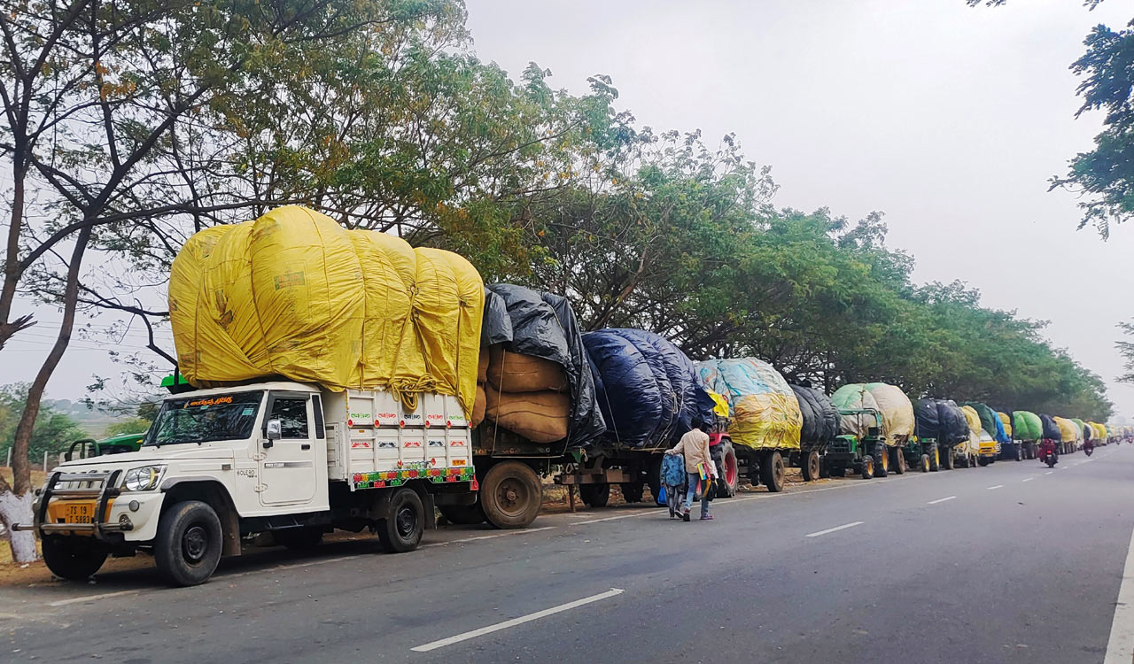 Crisis hits cotton farmers in Adilabad