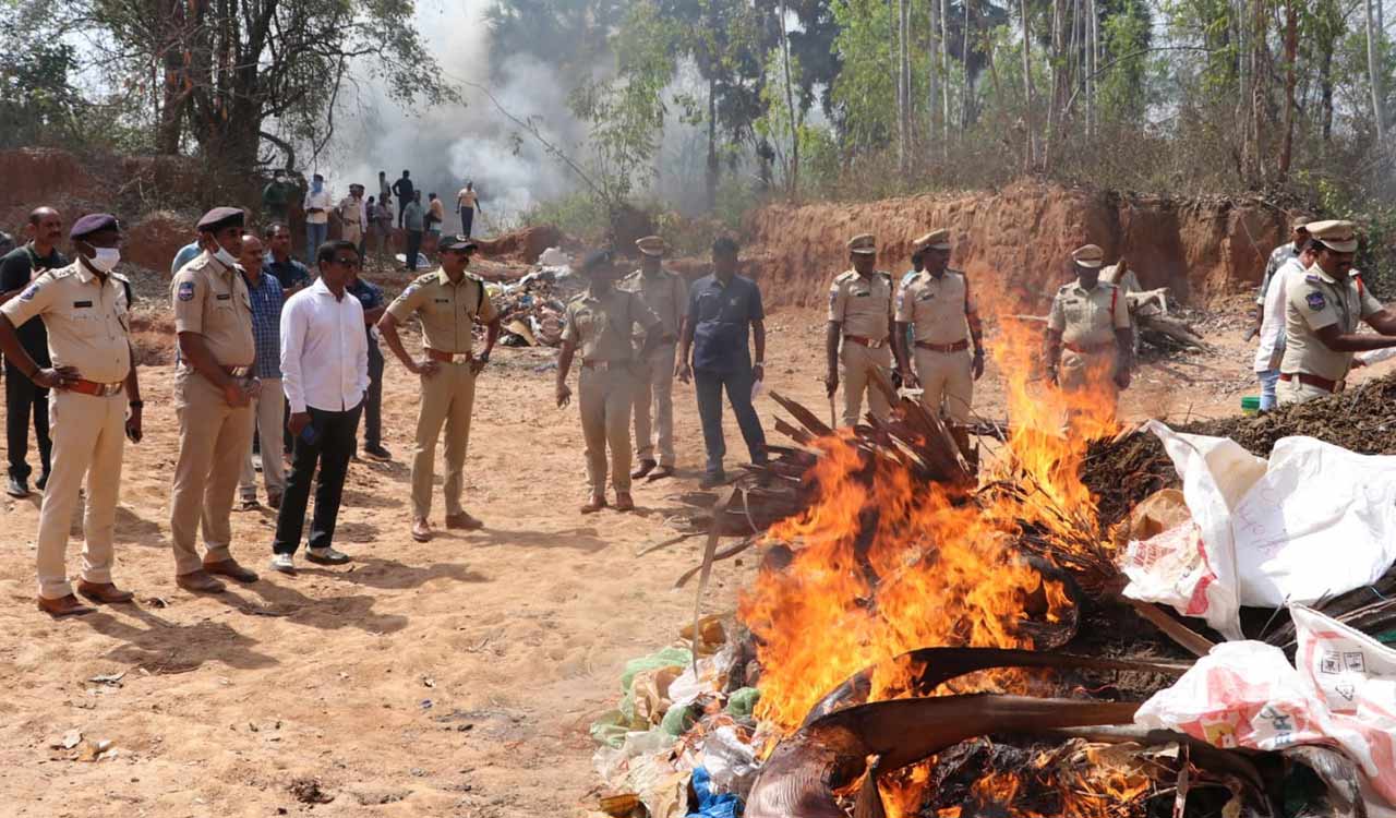 Telangana: Kothagudem Police sets record, burns 11 tonnes of ganja in single-day disposal