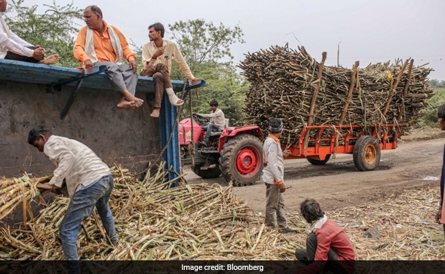 NDTV Explains: Centre's New 5-Year MSP Proposal For Farmers. What It Means