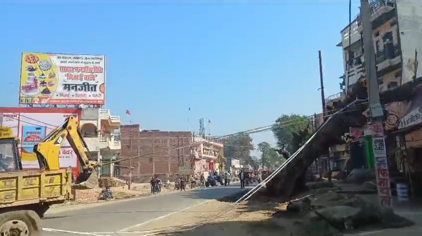 Video: Tree Being Uprooted Crashes Into House In UP, 2 Women Injured