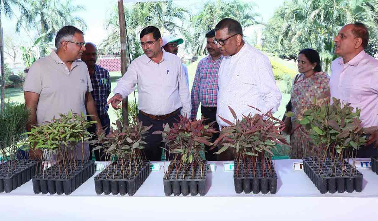 ITC presents incentives to eucalyptus farmers for high yield