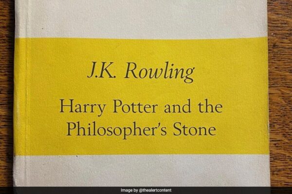 Proof Copy Of Harry Potter Novel, Bought For Pennies, Fetches Rs 11 Lakh