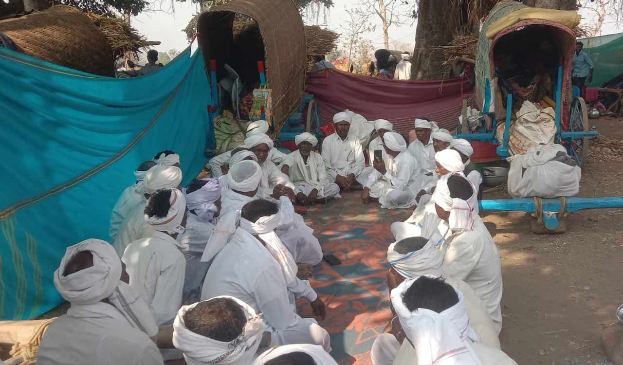 Nagoba Jatara: Mesrams camp under banyan trees at Keslapur