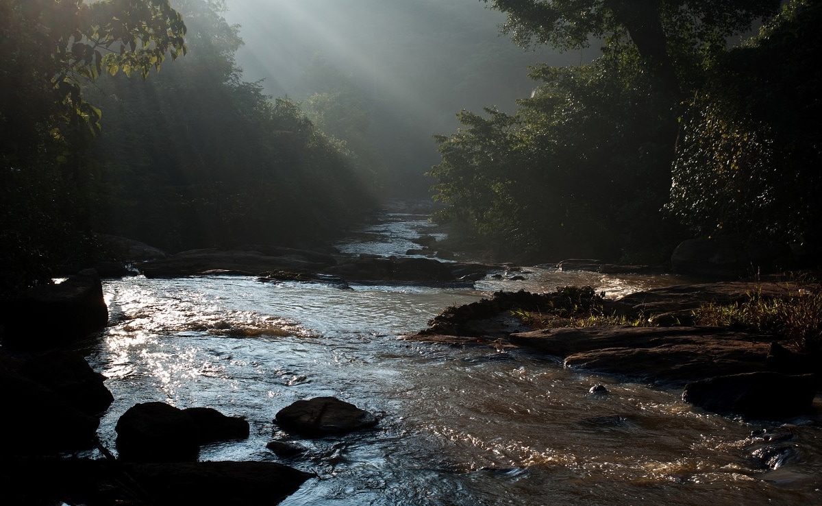 3 Members Of a Family Drown After Entering River For Bath In Kerala: Cops