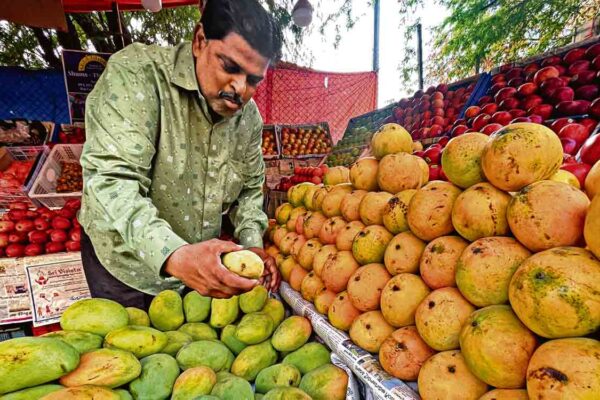 King of fruits arrives early in Hyderabad markets