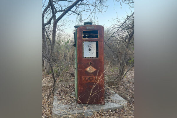 Hyderabad: Nizam’s personal petrol pump found hidden in KBR National Park