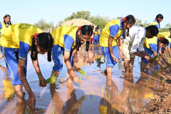 Telangana Development Forum provides natural farming training to school children