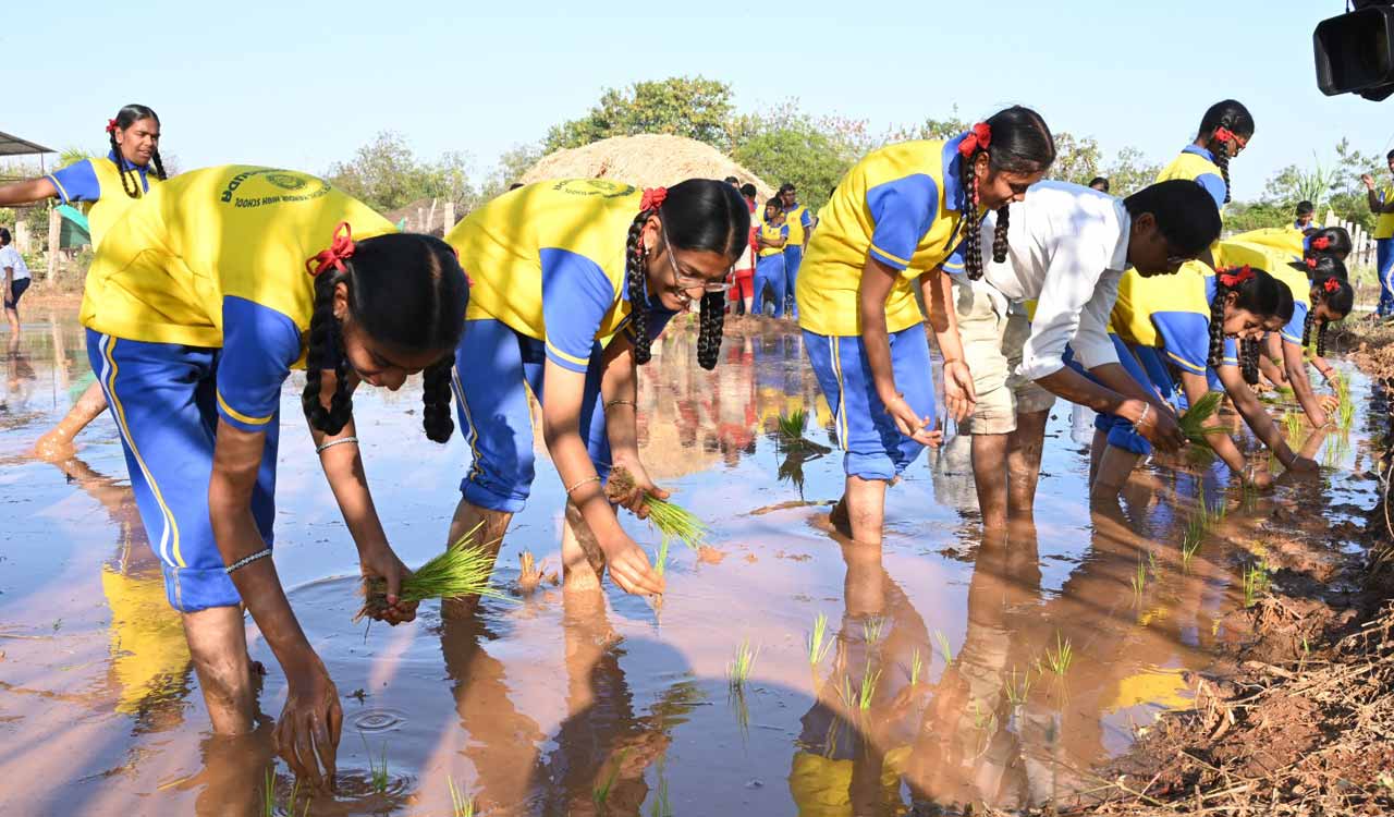 Telangana Development Forum provides natural farming training to school children