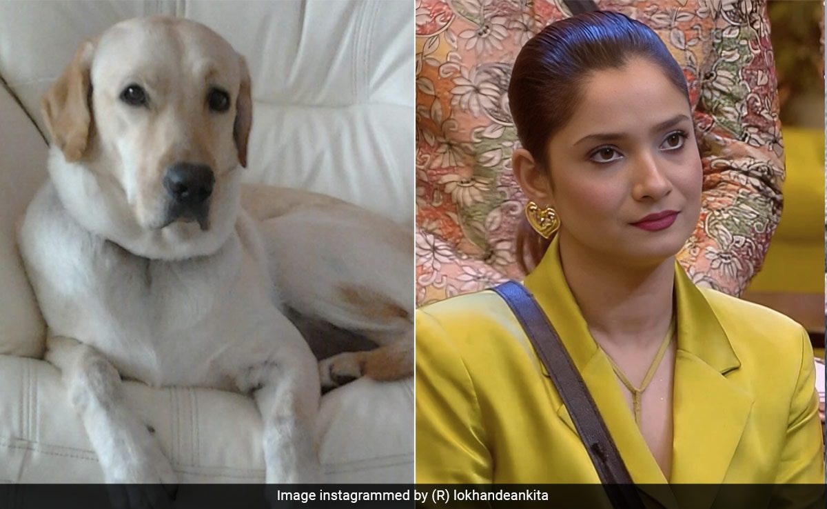 Ankita Lokhande's Pet Dog, Gifted By Sushant Singh Rajput, Dies