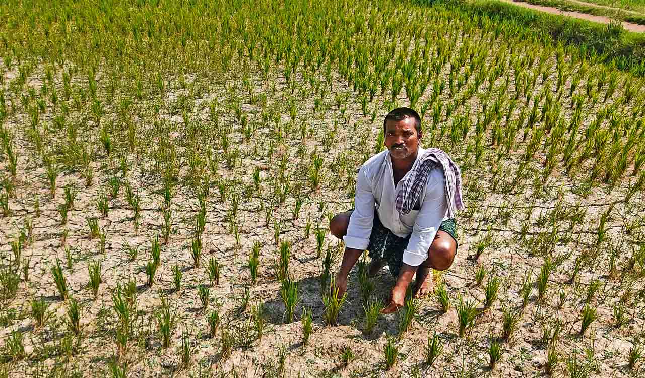 Telangana: Plummeting groundwater levels pose fresh challenge for farmers struggling to save crops