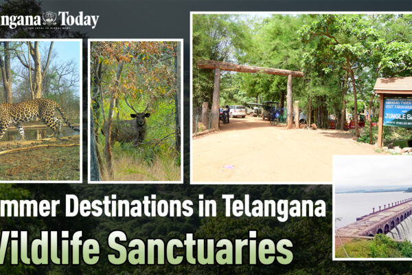 Wildlife Sanctuaries in Telangana are new Summer Destinations | Pocharam, Srisailam, Amrabad