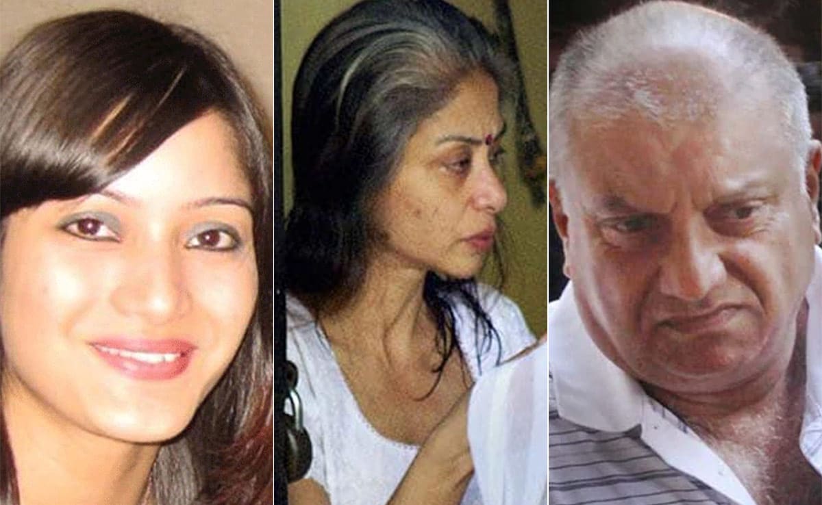 As Indrani Mukerjea Series Streams, A Look At The Chilling Murder Case