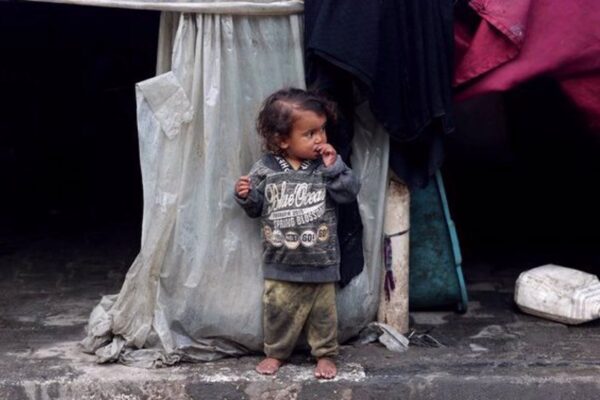 Gaza children go to sleep hungry, they are being ‘wasted’: WFP