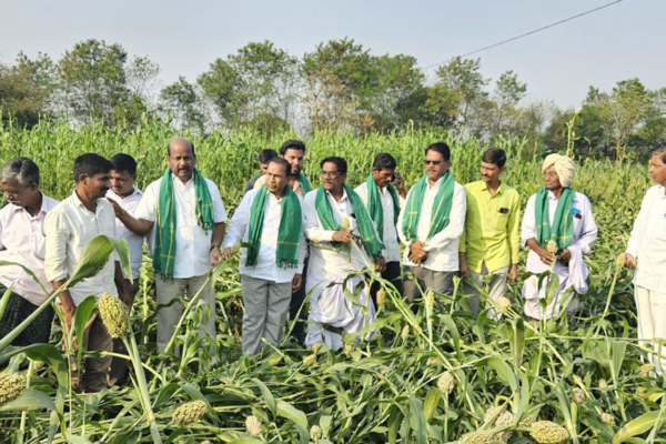 Carry out crop damage enumeration effectively: Zaheerabad MLA