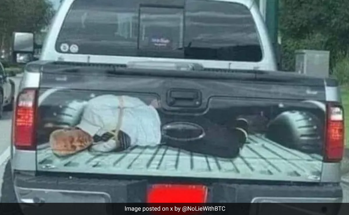 Trump Video Of "Hog-Tied" Biden On Pickup Truck Draws Massive Flak