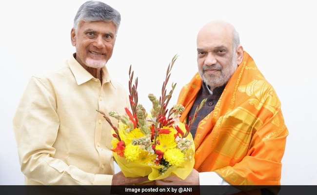 BJP, Chandrababu Naidu's TDP Finalise Seats For Lok Sabha, Andhra Polls