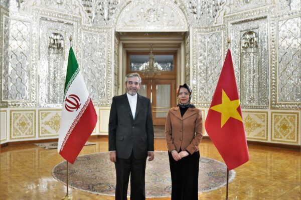 Vietnam’s deputy FM in Tehran for talks