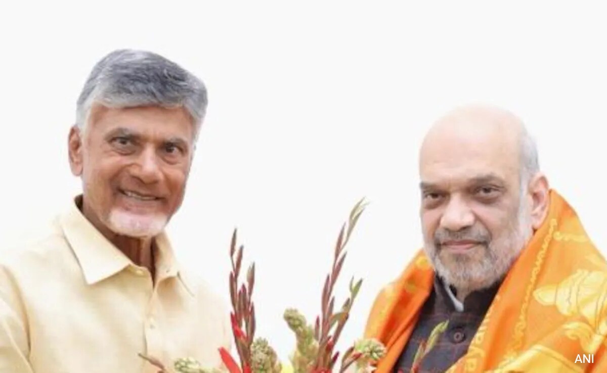 6 Years After Snapping Ties, Chandrababu Naidu's Party Set For NDA Return