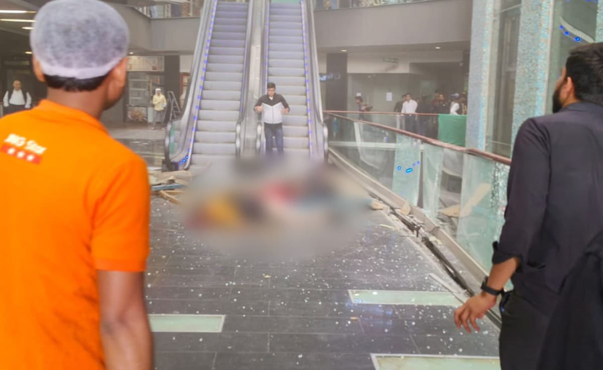 Noida Mall Trip Turns Fatal For 2, Iron Grille Crushes Them To Death