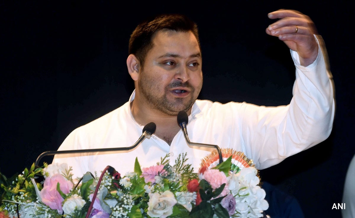 What Tejashwi Yadav Said On DMK Leader A Raja's "India Not A Nation" Remark