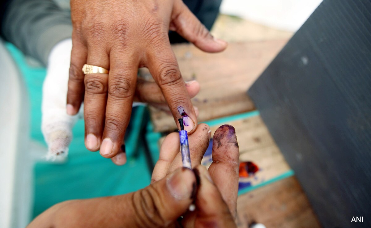 All About Purple Fingers And Indelible Ink, The Hallmarks Of Polls In India