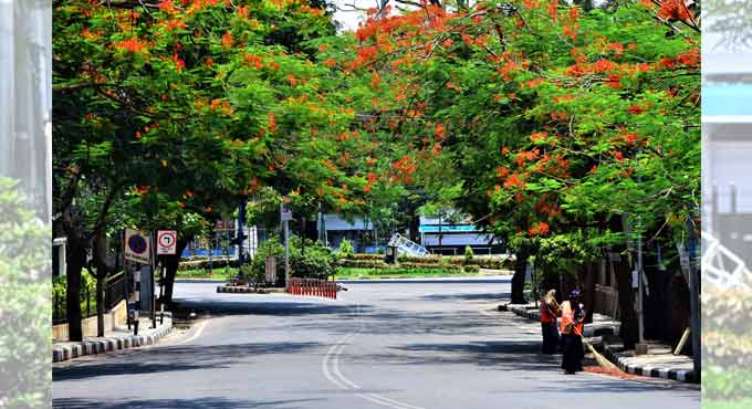 Hyderabad sees significant improvement in winter air quality