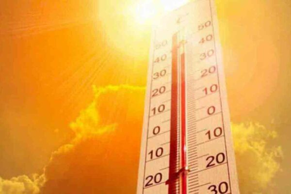 Adilabad’s Thalamadugu registers 42.1 degrees Celsius