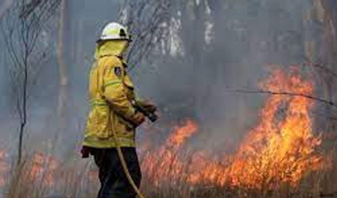 Australia: Queenslanders urged to prepare beforehand for bushfire season